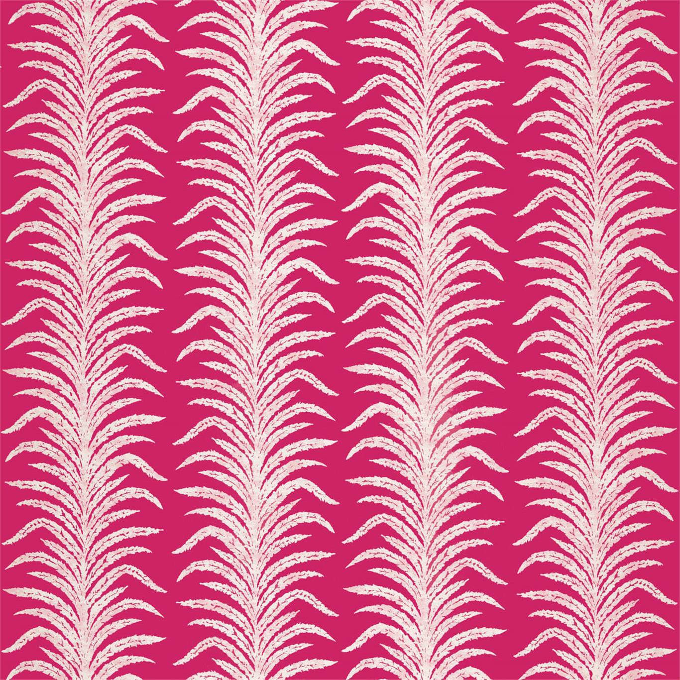 Tree Fern Weave Rhodera